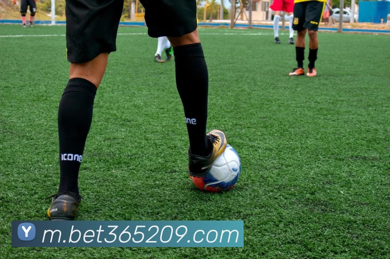 bet365中国官网服务体系